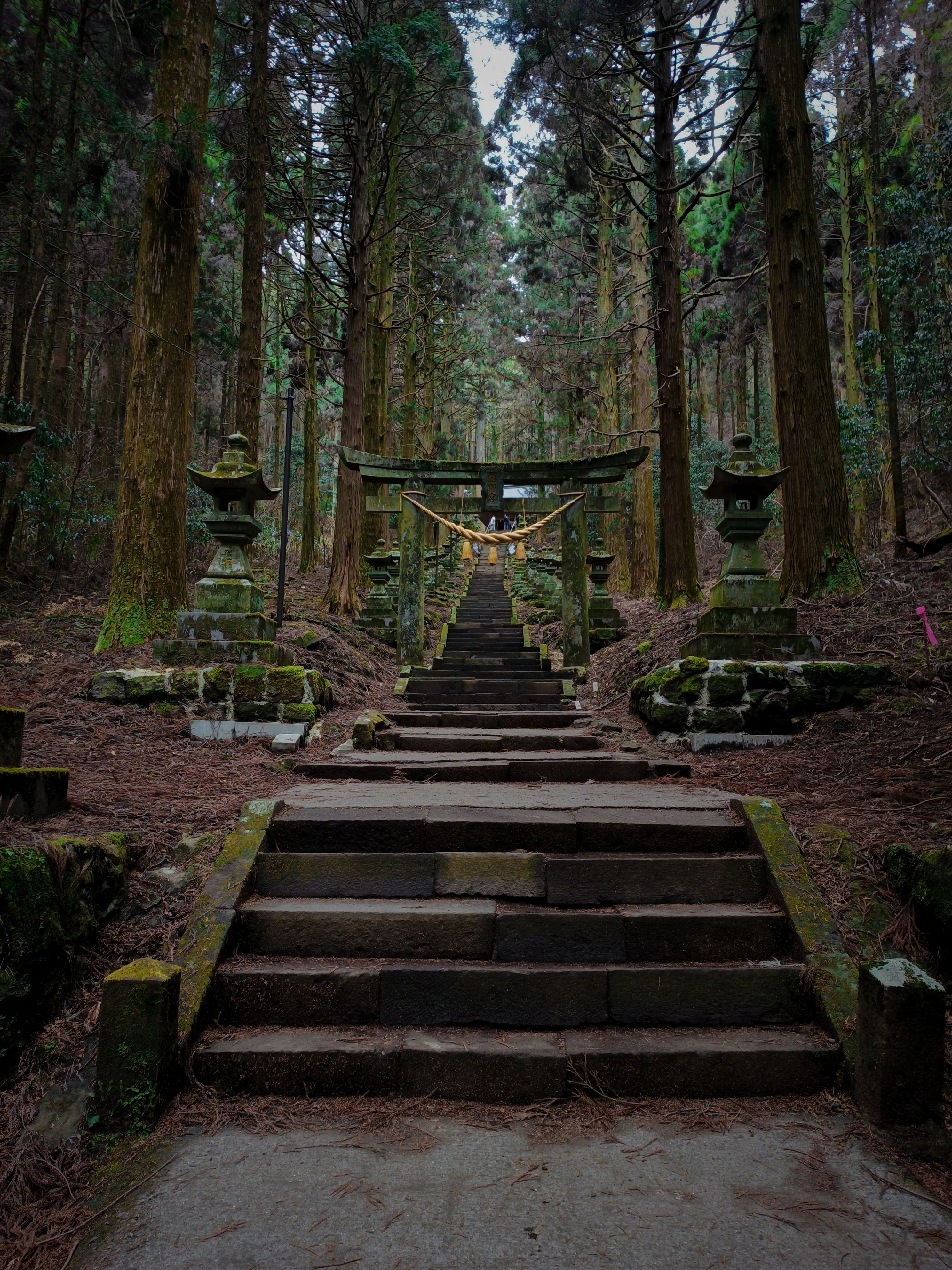 A moment photographed in Japan